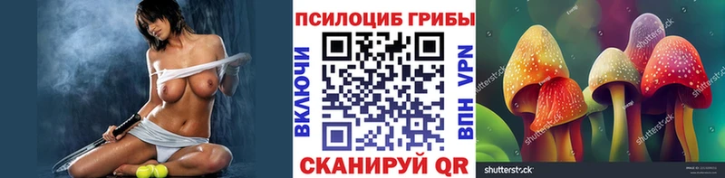 Купить закладки  Зарайск  Псилоцибиновые грибы ЛСД 